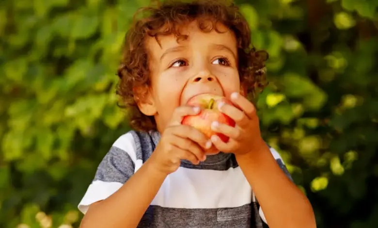 A percepção dos alimentos também é influenciada pela textura, pela aparência e até pelo som produzido durante a mastigação (Imagem: Kseniia Perminova