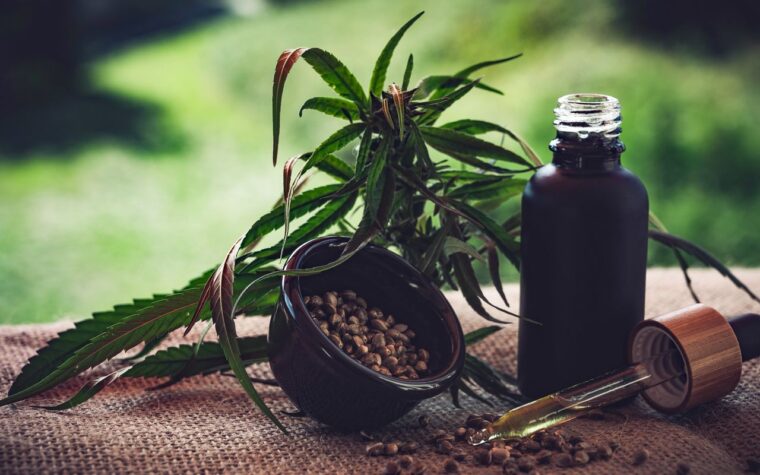 Normas sobre cannabis geram insegurança para associações do setor