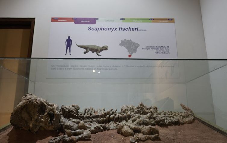 Exposição no Morro da Urca aproxima crianças da pré-história