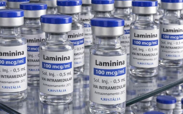 Polilaminina inicia testes clínicos de fase 1 ainda este mês