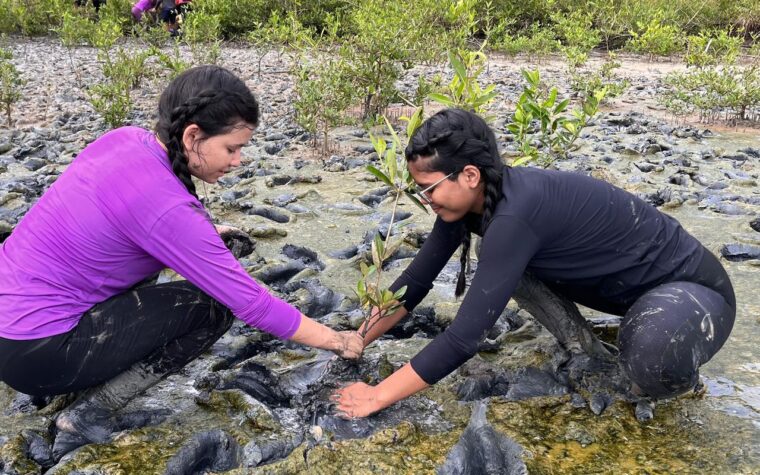 Trabalhos para fórum de educação ambiental podem ser inscritos até 30