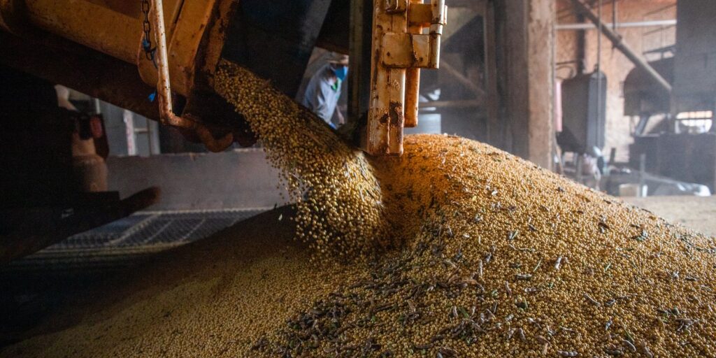 Produção de grãos no Brasil deve crescer mesmo com El Niño