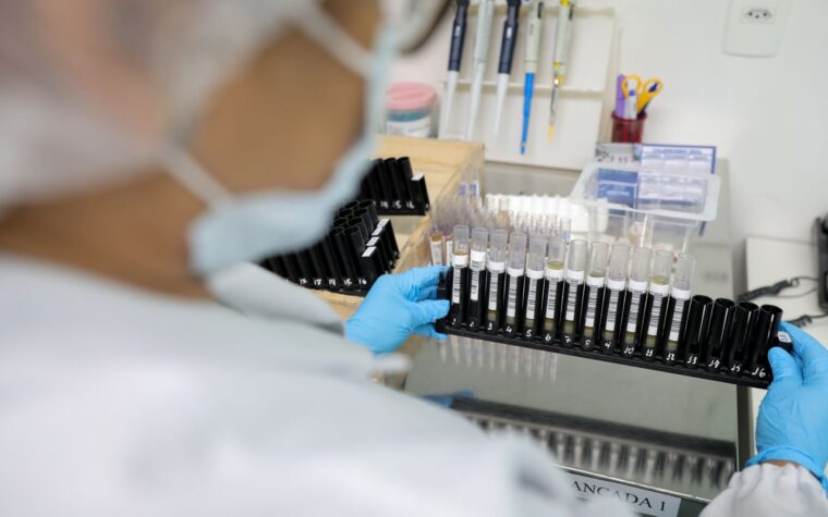 Vacina brasileira contra malária recebe autorização para testes clínicos
