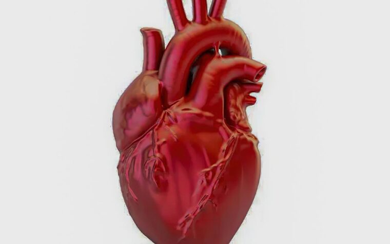 Morte por doença cardiovascular no Brasil a cada 72 segundos