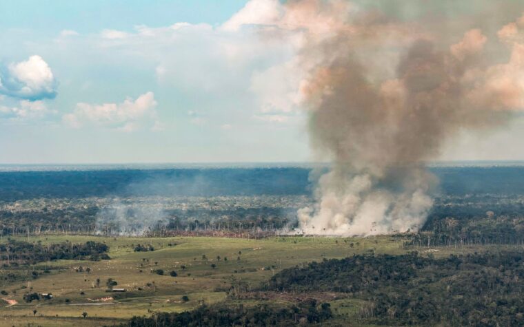 Incêndios no Pará sobrecarregam qualidade do ar na região oeste