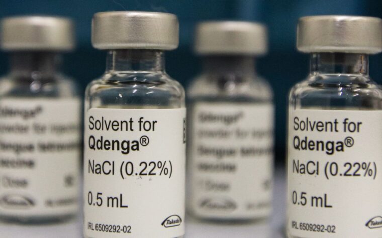 Dengue afeta 3 milhões de adolescentes sem vacinação completa
