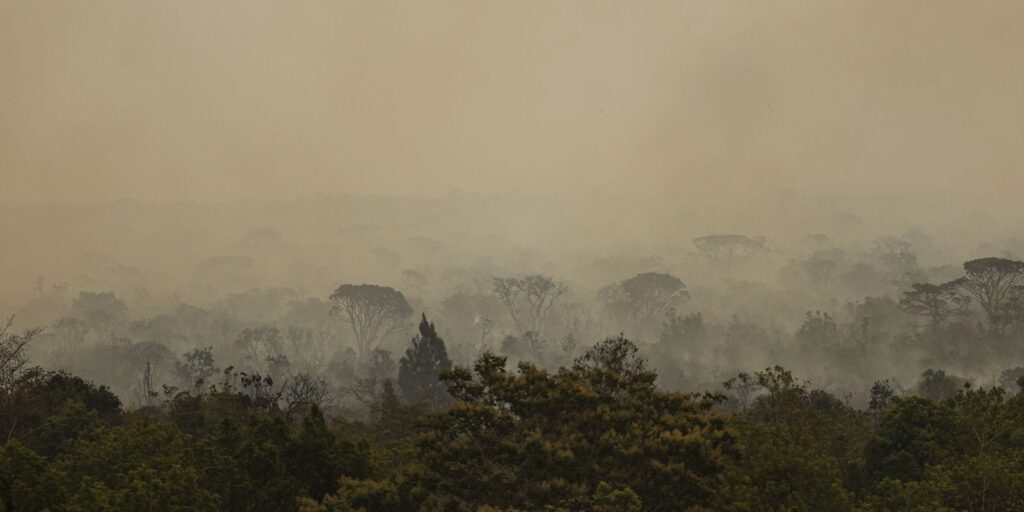 Incêndios no Amazonas provocam mobilização da saúde pública nacional
