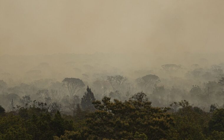 Incêndios no Amazonas provocam mobilização da saúde pública nacional