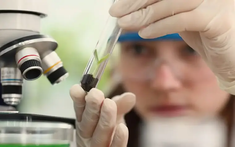 Imersão científica aproxima alunas e professoras de tecnologia
