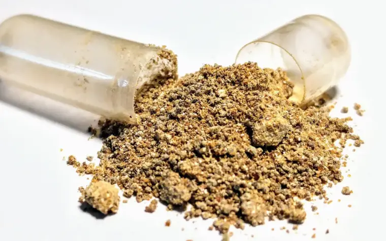 Ashwagandha sem registro: Anvisa emite alerta sobre suplemento