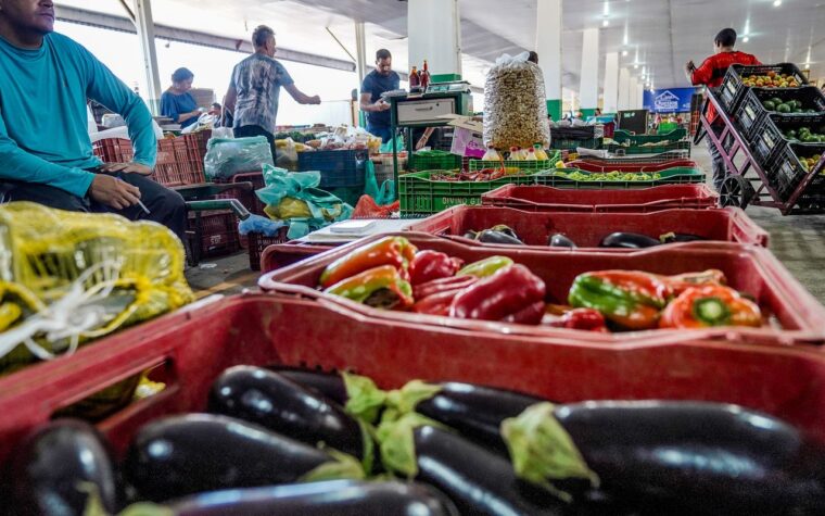 Desperdício de alimento: nova campanha promove engajamento comunitário