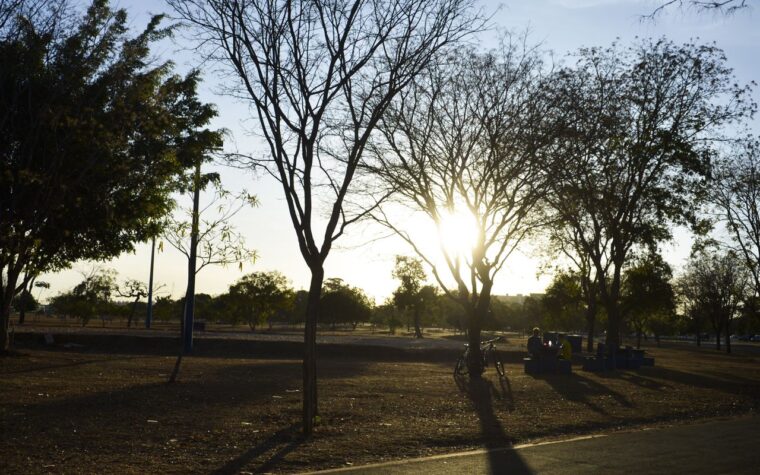 Calor e chuvas continuam dominando diversas regiões do Brasil